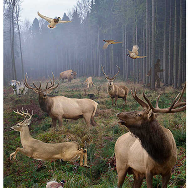 Action Target GSBIGHUNT100 Entertainment  Animals Paper Hanging 23″ x 35″ 100 Per Box