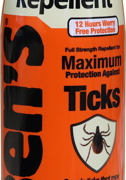 Ben’s 00067300 Tick Repellent Eco-Spray Odorless Scent 6 oz Aerosol Repels Ticks Effective Up to 12 hrs