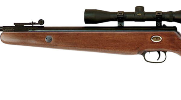 Beeman 1051 Teton Combo Spring Piston 177 Pellet Black Rec/Barrel Hardwood Stock Includes 4x32mm Scope