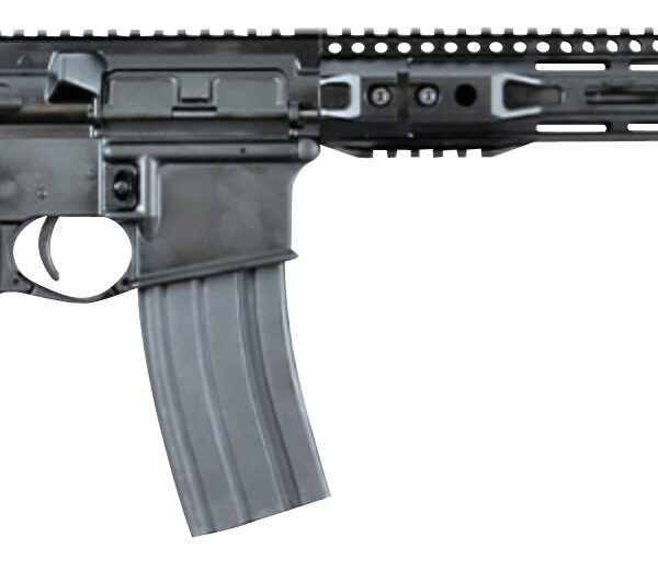 Franklin Armory 0010055BLK M4-HTF R3 XTD 350 Legend 16″ 10+1 Black Hard Coat Anodized Black Adjustable B5 Bravo Stock Black B5 Grip Right Hand