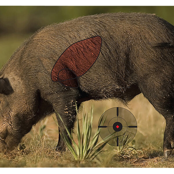 Birchwood Casey 35408 Pregame  Boar Paper Target 16.50″ x 24″ 3 Per Pkg