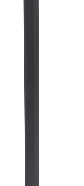 Cold Steel CS91PCAX Axe Head Cane Black Polypropylene 38″