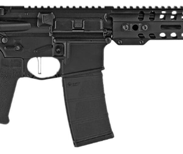 Patriot Ordnance Factory 01801 Minuteman Direct Impingement 5.56x45mm NATO 30+1 10.50″, Black, Buffer Tube Stock, Textured Polymer Grip, 3 Prong Flash Hider