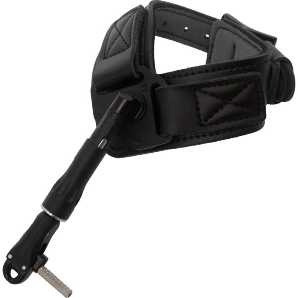Trophy Ridge Judge Release