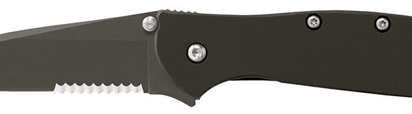 Kershaw 1660CKTST Leek  3″ Folding Modified Drop Point Part Serrated Black DLC 14C28N Steel Blade Black DLC 410 Stainless Steel Handle Includes Pocket Clip