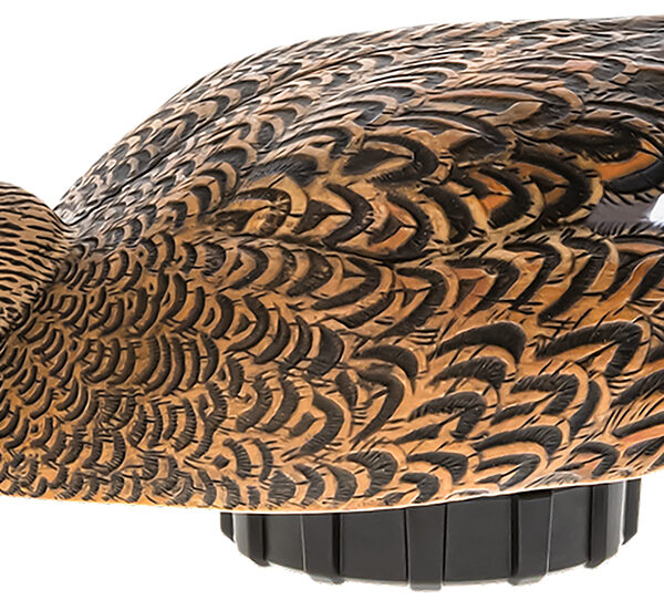 Avian X AVXPSHMHSF Power Shaker  Mallard Hen Surface Feeder Multi-Color