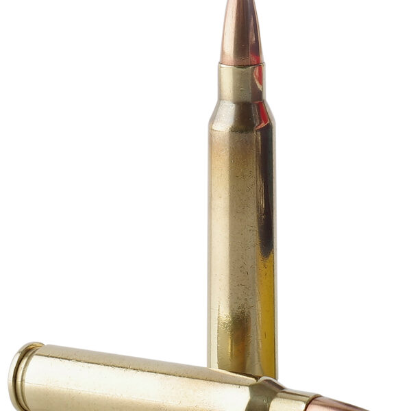 TR&Z PPMK223 Supreme Line 223 Rem 69 gr Sierra MatchKing BTHP 20 Per Box/ 10 Case