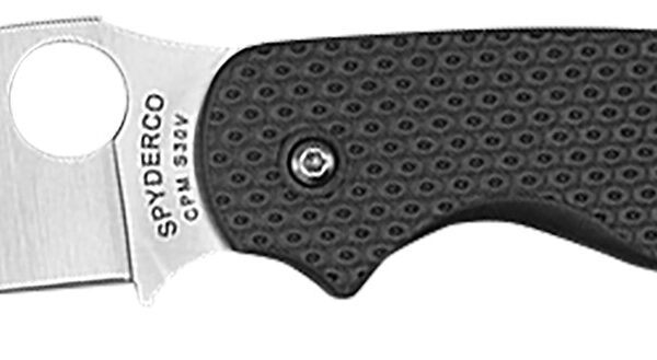 Spyderco C123PBK Sage 5 Lightweight Alzheimer’s 3″ Folding Plain Satin CPM S30V SS Blade, Black Textured FRN Handle