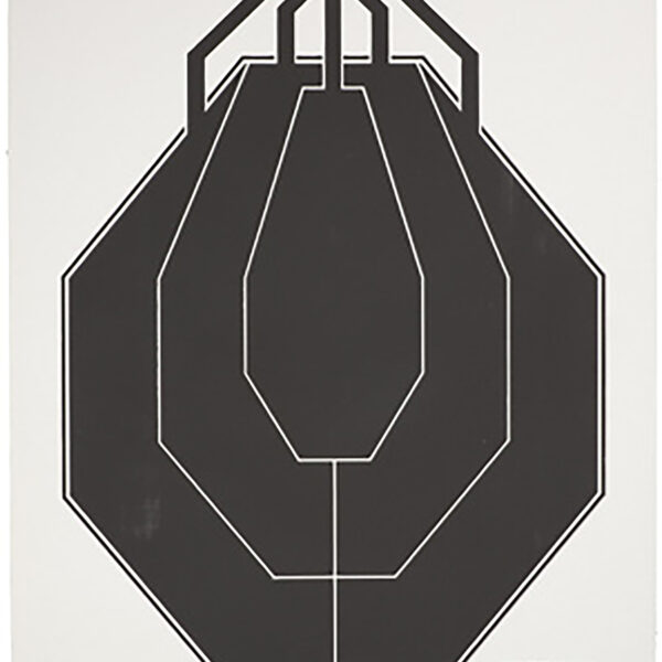 Sig Sauer SCT354 T300 Replacement Target IPSC Hanging Black/White