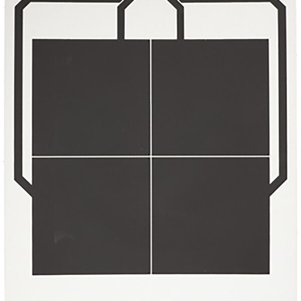 Sig Sauer SCT356 T300 Replacement Target 4 Square Hanging Black/White