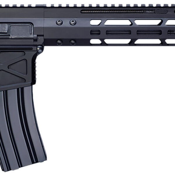 Global Ordnance LLC 197892003230 Monolith 15P 5.56x45mm NATO 30+1 12.50″ Black Mono Barrel, M-LOK Handguard, Black Aluminum Picatinny Rail Receiver, Rear Picatinny Rail, B5 P-Grip 23 Grip
