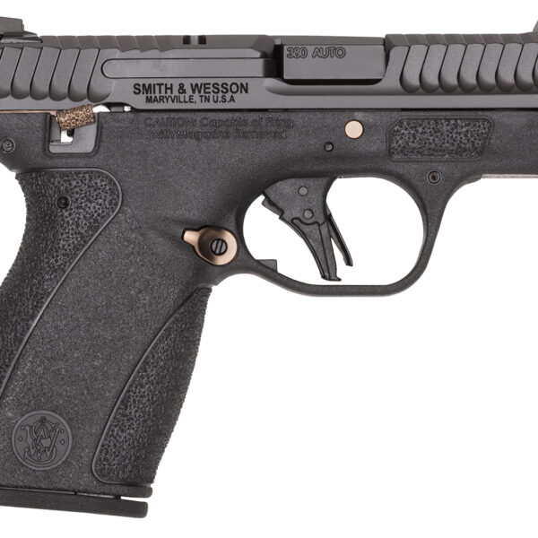 S&W BODYGRD 2.0 14660 380 TS RGPVD
