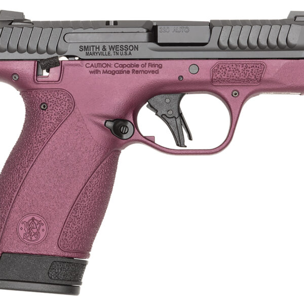 S&W BODYGRD 2.0 14661 380 TS H-319 BCF