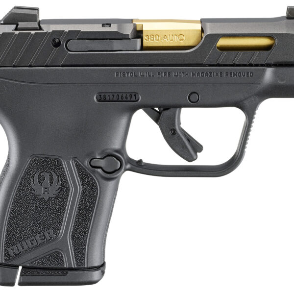 Ruger 13766 LCP Max Compact Frame 380 ACP 10+1 2.80″ Black Nitride Barrel, Black Nitride Alloy Steel Serrated Slide, Black Polymer Frame Textured Grip