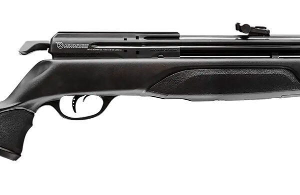 Gamo 600005P54 Arrow PCP 22 Cal 60 Pellet Shot, Black Rifled Barrel, All Weather Black Stock