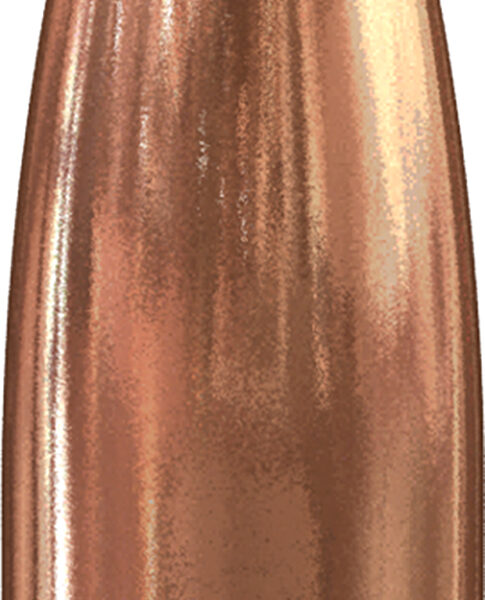 Speer 4711 Varmint 22 Caliber .224 55 GR Soft Point Value Pack 1000 Box