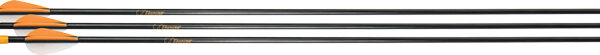 BEAR ARCHERY YOUTH SAFETYGLASS – ARROWS 28″ 3PK