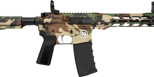 HIPOINT PISTOL HP-15 300 AAC – 10.5″ 30RD BLADE BRACE M81