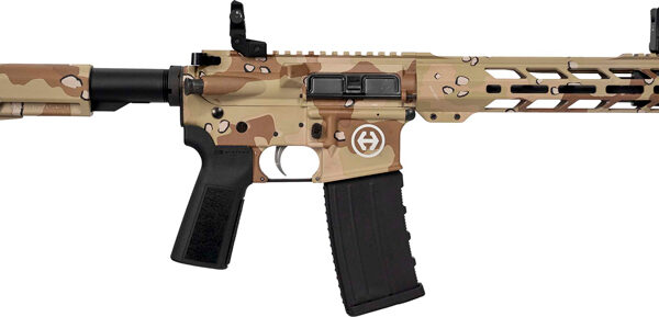 HIPOINT PISTOL HP-15 5.56 – 10.5″ 30RD BLADE BRACE STORM