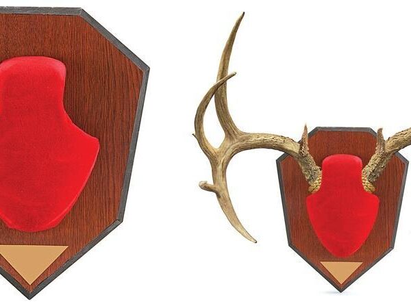 Allen Antler Mounting Kit – Red Skull