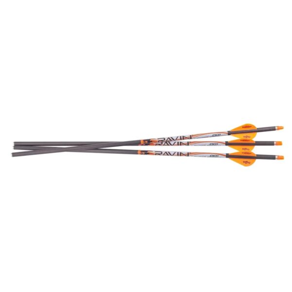 Ravin Arrows 400gr. 3 PK .001