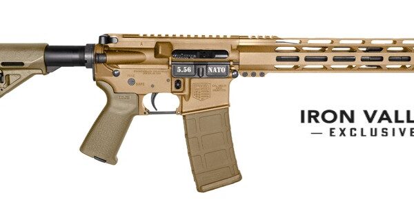 DB15 5.56 16″ MLOK Brnze Pmag 30rd IVS
