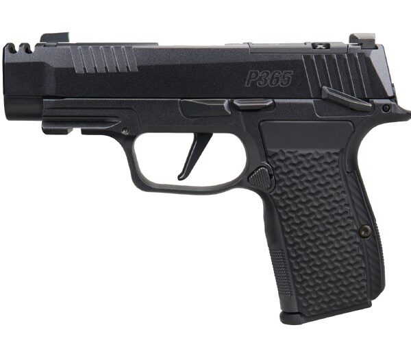 P365 AXG LUXE 380 ACP 3.1″ XRAY3 BLK 3/10 CA