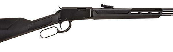 RIO BRAVO 22WMR 20″ 12RDS BLK/SYN
