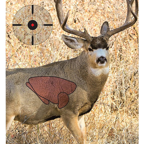 Birchwood Casey 35402 Pregame  Mule Deer Paper Target 16.50″ x 24″ 3 Per Pkg