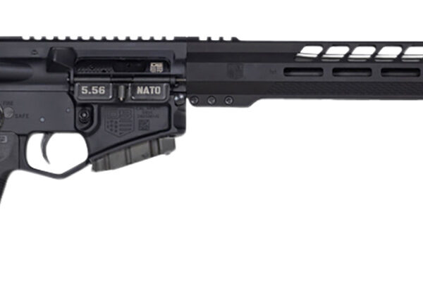 Diamondback DB1791K001 DB15 *CA Compliant 5.56x45mm NATO 16″ 10+1 Black Adjustable Magpul CTR Stock Black Magpul MOE K2 Grip with Black Gold Lower