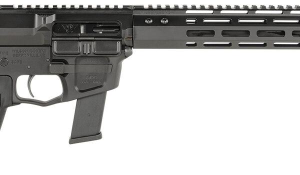 Wilson Combat TRAR9GB91610 AR9G Carbine 9mm Luger 17+1 16″ Black Match Grade Threaded Barrel, Black Armor-Tuff Aluminum Receiver, M-LOK Handguard, Black Synthetic Rogers Super-Stoc w/Cam-Lock Stock