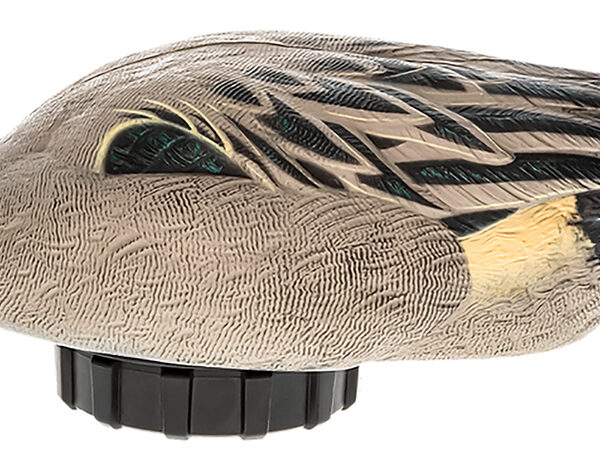 Avian X AVXPSHPNSF Power Shaker  Pintail Surface Feeder Duck Decoy Multi-Color