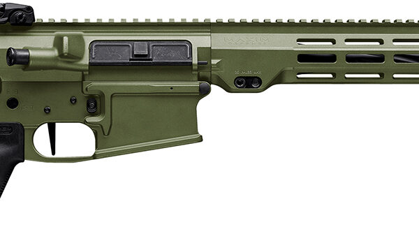 Maxim Defense MXM49684 MD10 L 308 Win 20+1 16″ Fluted Barrel, Bazooka Green Cerakote Finish, M-LOK Handguard, Black Magpul Furniture, SL-K Stock, MVG Grip, MBUS Sights, Blackout Defense Flat Trigger