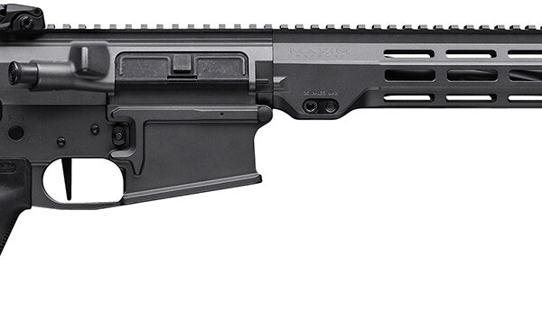 Maxim Defense MXM49689 MD10 L 6.5 Creedmoor 20+1 18″ Fluted Barrel, Sniper Gray Rec/M-LOK Handguard, Black Magpul Furniture, SL-K Stock, MVG Grip, MBUS Sights, Blackout Defense Flat Trigger