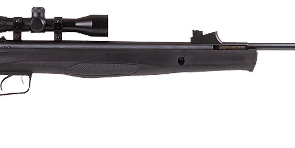 Beeman 1061622 Air Rifle Combo 22