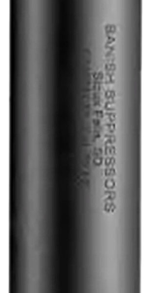 Banish(silencer Central) 100000110122 Banish 22 22 Cal 5-3/8″ Black