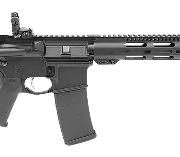 DPMS DP51655109560 556 16″13.5 MLOK MBUS SIGHTS