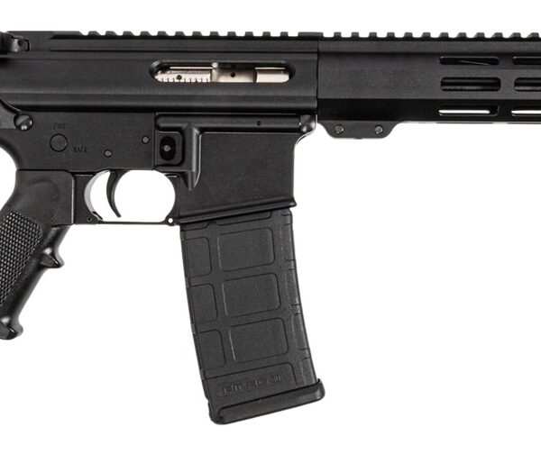 DPMS DP51655230203 DP15 SHORTACLE 556 10.5 BRACE