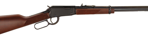 L/A 22Mag 19″ B AS 11rd