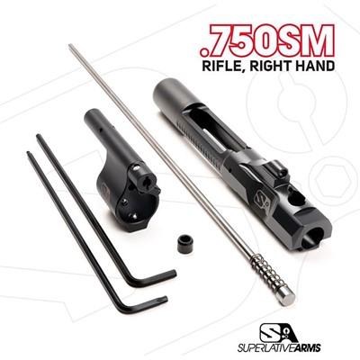 AR-15 ADJ PISTON SYSTEM W/SOLID .750” GAS BLOCK RIFLE RH