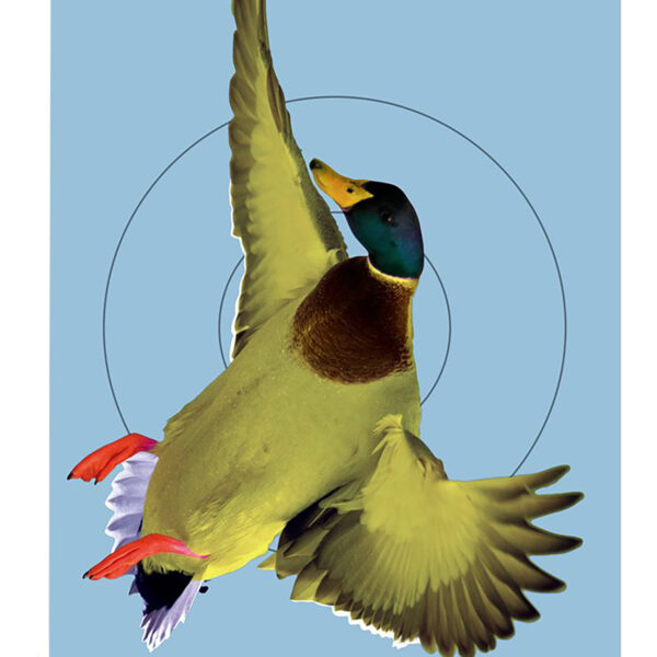 Birchwood Casey 35407 Pregame  Duck Paper Hanging Rifle/Shotgun 12″ x 18″ Impact Enhancement 8 Per Pkg
