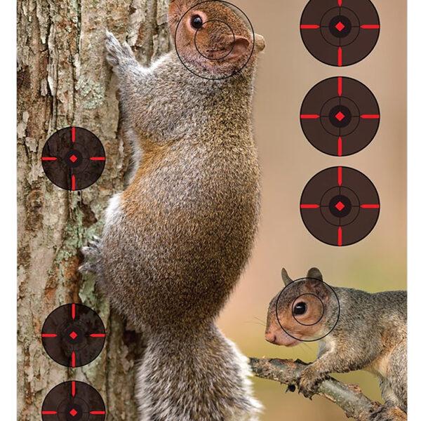 Birchwood Casey 35406 Pregame  Squirrel Paper Hanging Rifle 12″ x 18″ Impact Enhancement 8 Per Pkg