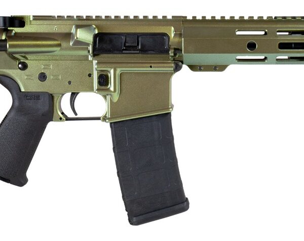 Shark Coast Tactical SCC07138CAI-P Caiman 5.56 NATO 30+1 10.50″ Black Nitride Threaded Barrel, Aluminum Receiver w/Picatinny Rail, M-LOK Handguard, Polymer SB Tactical SBA3 Brace, Magpul MOE Grip, Rig