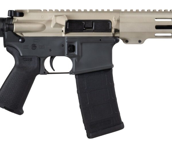 Shark Coast Tactical SCC07169FCAT-P Fisher Cat 5.56 NATO 30+1 Black Nitride Threaded Barrel, Aluminum Receiver w/Picatinny Rail, M-LOK Handguard, Polymer SB Tactical SBA3 Brace, Magpul MOE Grip, Right