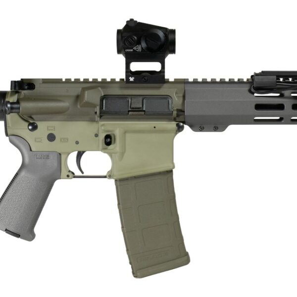 Shark Coast Tactical SCC06872BUGBR300P Bug Bear Bundle 300 Blackout 30+1 10″ Threaded Barrel, Aluminum Receiver w/Picatinny Rail, M-LOK Handguard, Polymer SB Tactical SBA3 Brace, Streamlight ProTac Ra