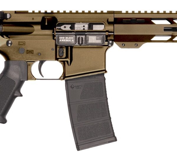 Patriot Ordnance Factory 02541 P-15  Sports South Exclusive 300 Blackout 30+1 10.50″ Threaded Barrel, Burnt Bronze Cerakote Aluminum Receiver w/Picatinny Rail, M-LOK Handguard, Black Polymer SB Tactic