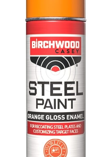 BIR PAINT-ORG      STEEL TARGET PAINT  ORANGE