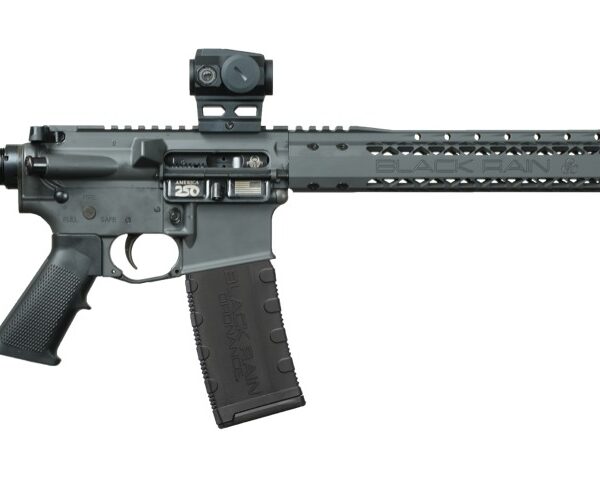 Black Rain Ordnance BRO26040601OPT Sports South Exclusive 5.56 NATO 16″ Viridian Venta Red Dot