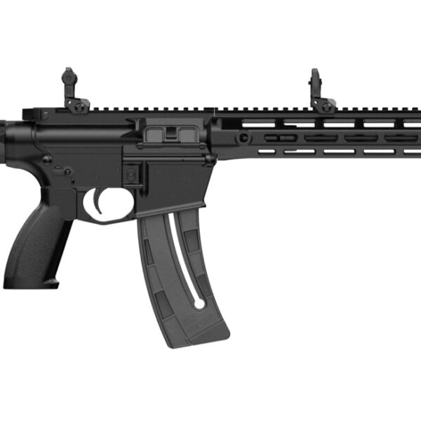 Retay USA RA1522BLKPOLYMLOK10 RA1522 22 LR 10+1 18″ Black Chrome Threaded Barrel, Black Chrome Polymer Receiver w/Picatinny Rail,  M-LOK Handguard, Adjustable Black Polymer Stock & Grip