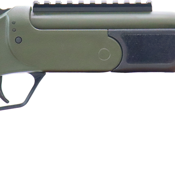 ROSSI BRAWLER 300BLK 9″ BL/ODG #